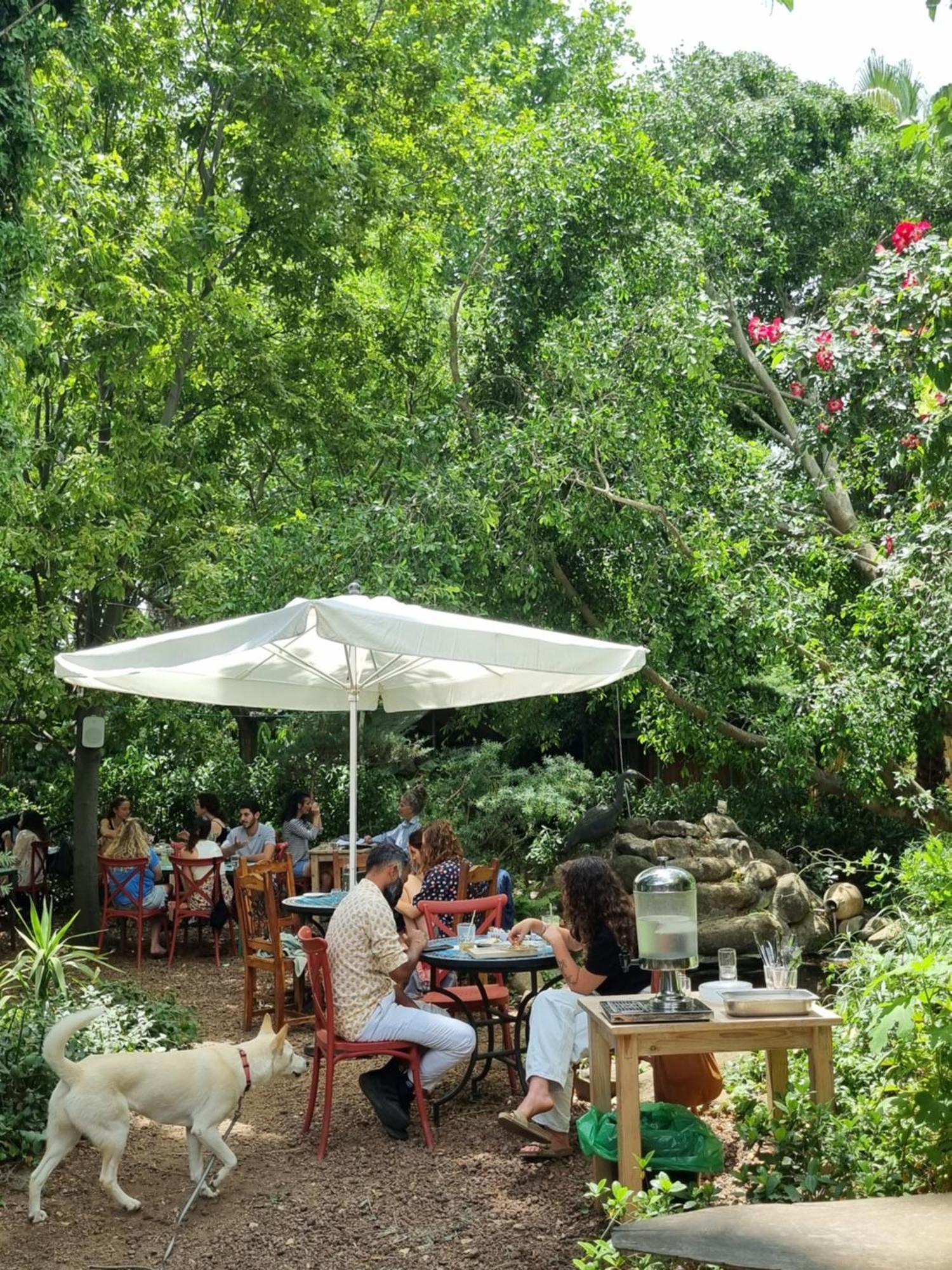 Vitrage Holiday Village And Spa Бейт Хилел Екстериор снимка